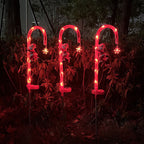 Solar Christmas Decoration Lights 2Pcs