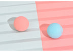 Interactive Rolling Ball Cat Toy