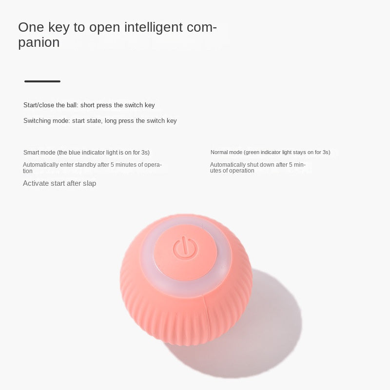 Interactive Rolling Ball Cat Toy